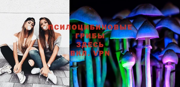 Альфа ПВП Алексин