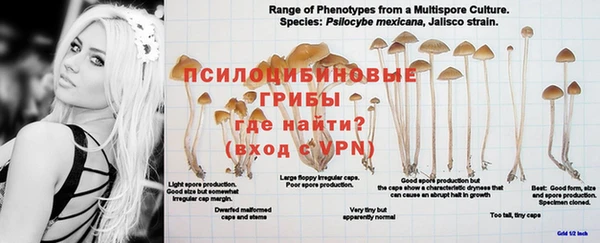 MESCALINE Алзамай