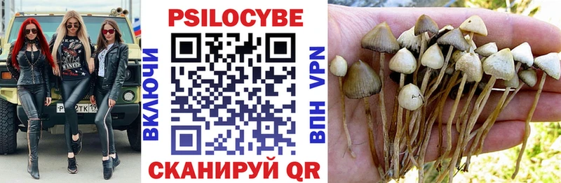 Галлюциногенные грибы Psilocybine cubensis Якутск